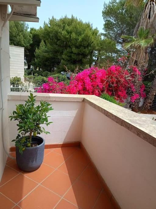 Holiday home La Casa Al Mare